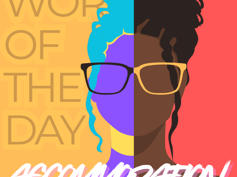 Word of the Day: Accommodation